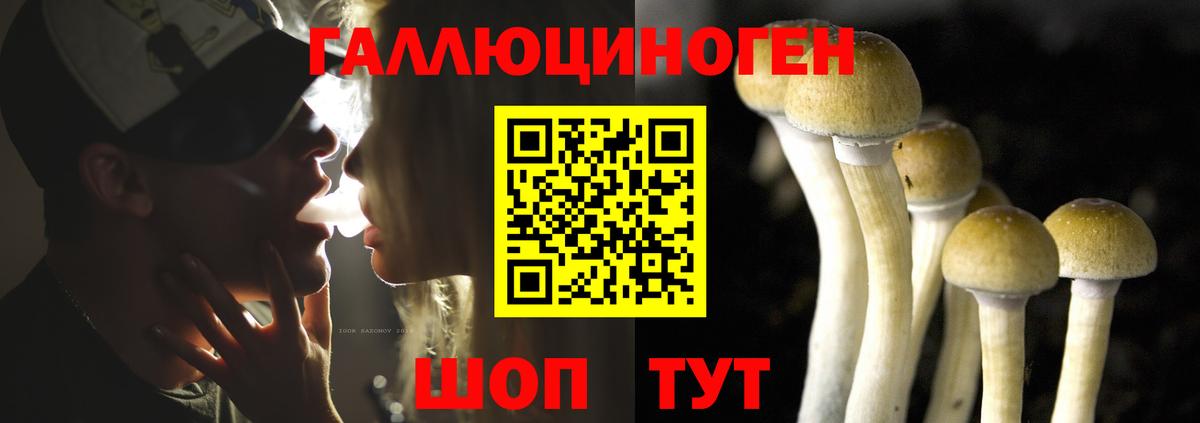 Псилоцибиновые грибы мухоморы Сосновоборск